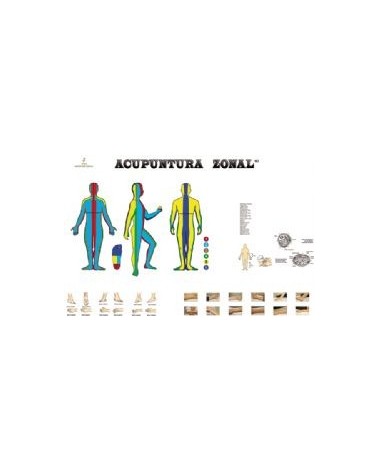 Libro Poster Acupuntura Zonal 60cmx84cmde Josep Carrion