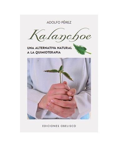 Kalanchoe  Una Alternativa Natural A La Quimioterapia