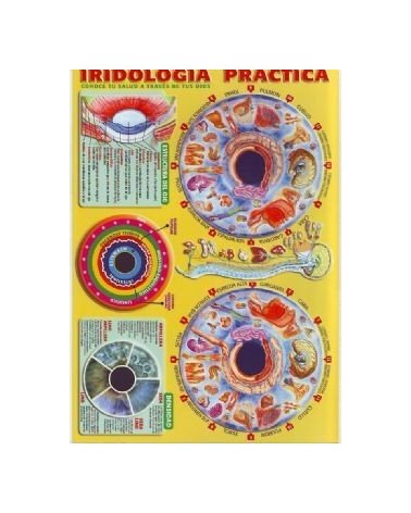 Ficha A-4 Iridologia Practica