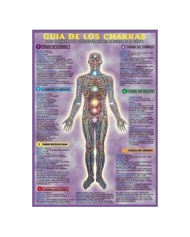 Ficha A-4 Guia De de los Chakras
