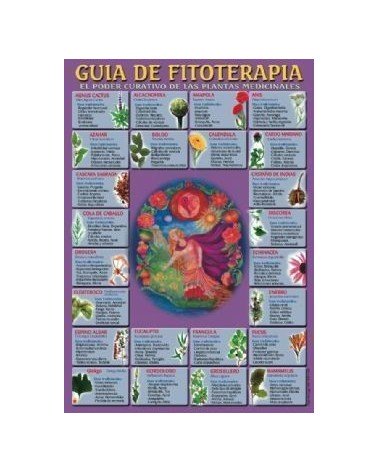 Ficha A-4 Guia De Fitoterapia