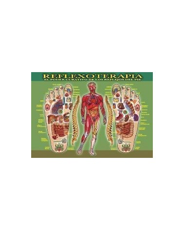 Ficha A-4 Reflexoterapia