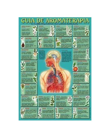 Ficha A-4 Guia De Aromaterapia