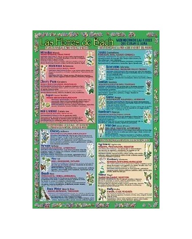 Ficha A-4 De Las Flores De Bach