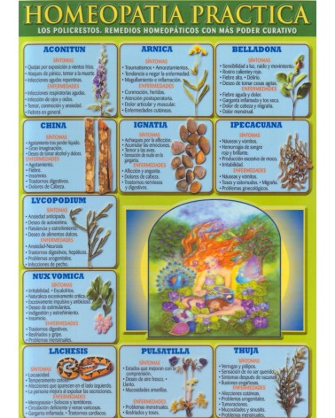Ficha A-4  Homeopatia Practica