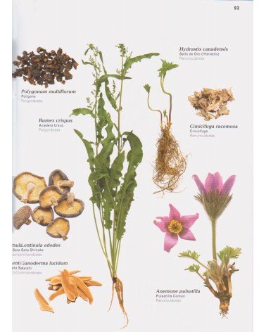 El Tutor de las Plantas Medicinales