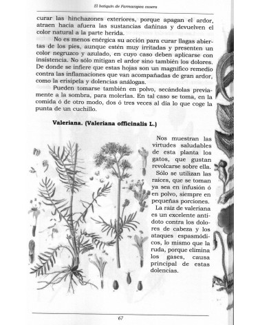 paginas interiores El botiquín de farmacopea casera de Sebastian Kneipp