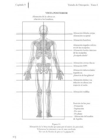 paginas interiores Tratado de osteopatía Tomo 1 Francisco Fajardo Ruiz 9788498273304