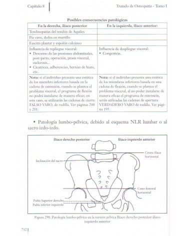 paginas interiores Tratado de osteopatía Tomo 1 Francisco Fajardo Ruiz 9788498273304