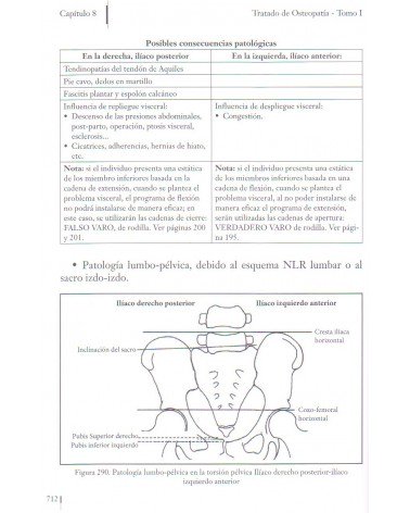 paginas interiores Tratado de osteopatía Tomo 1 Francisco Fajardo Ruiz 9788498273304