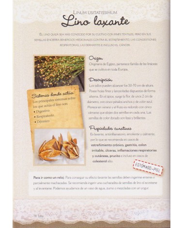páginas interiores - ilustraciones - Farmacia Natural (Hecho en Casa) de Nuria Penalva  9788466227957