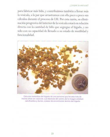 ´paginas interiores - ilustraciones - Guía para limpiar el hígado, la vesícula y los riñones de Carlos de Vilanova 9788416233137