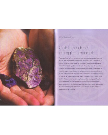 páginas interiores - ilustraciones - Los tesoros de la Tierra por Judy Hall 9788441435032