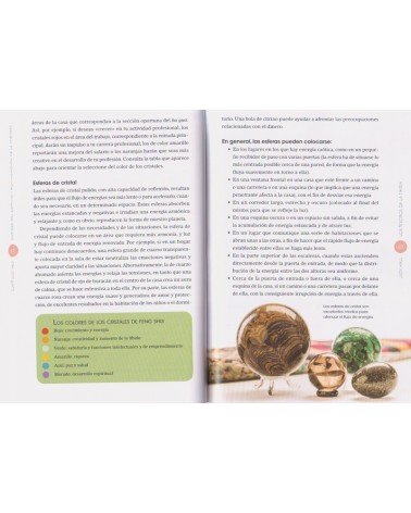 páginas interiores - ilustraciones - Los tesoros de la Tierra por Judy Hall 9788441435032