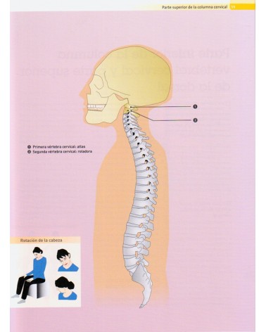 páginas interirioes - lilustraciones - Terapia Craneosacral. Autoaplicación, por Gert Groot Landeweer , 9788499102412