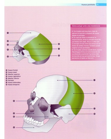 páginas interirioes - lilustraciones - Terapia Craneosacral. Autoaplicación, por Gert Groot Landeweer , 9788499102412