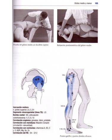 páginas interiores - ilustraciones - Manual de las pruebas musculares, por Hans Garten, 9788499104317