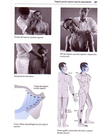 páginas interiores - ilustraciones - Manual de las pruebas musculares, por Hans Garten, 9788499104317