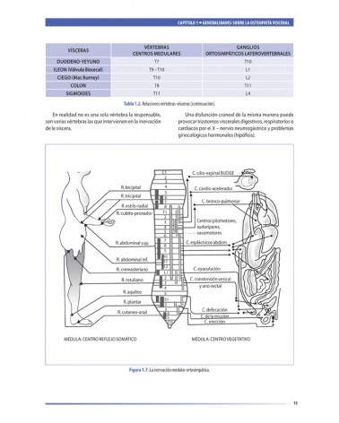 ilustraciones Tratado de osteopatía visceral y medicina interna Sistema cardiorrespiratorio TOMO I