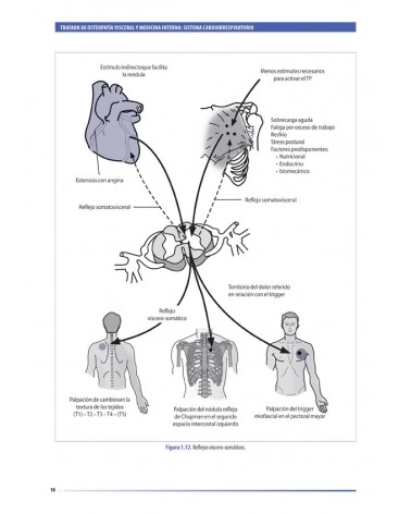 ilustraciones Tratado de osteopatía visceral y medicina interna Sistema cardiorrespiratorio TOMO I