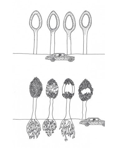 páginas interiores / ilustraciones La digestión es la cuestión. Por Giulia Enders. ISBN: 9788479538972