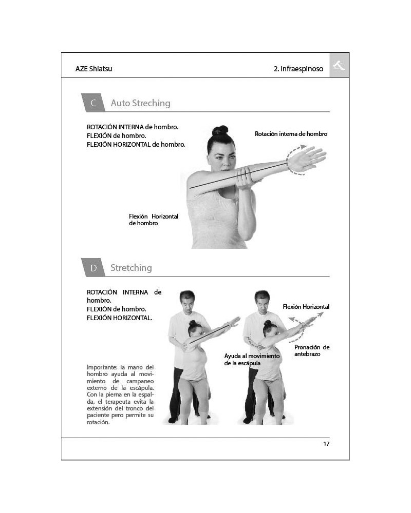 Tratamiento local del hombro a través de sus once músculos