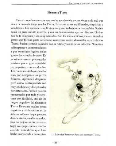 La vuelta a tu perro en 30 puntos - Vicente Calderón / Alejandro Lorente. ISBN 9788441435483