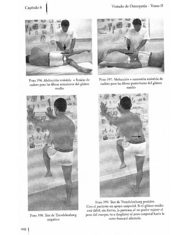 Tratado de osteopatía Tomo 2 - Francisco Fajardo Ruiz. ISBN 9788498273304