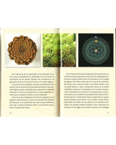 La flor de la vida en ti - Andreas Beutel. ISBN 9788416192618