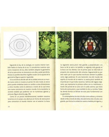 La flor de la vida en ti - Andreas Beutel. ISBN 9788416192618