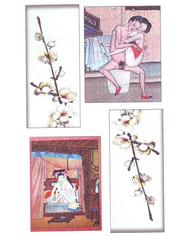 La divinidad desnuda, por Chun Yeng Trang.ISBN: 9788498273465