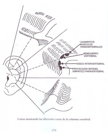 Acupuntura avanzada no invasiva sin agujas