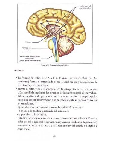 La osteopatía al servicio de las emociones, por Francisco Fajardo Ruiz. ISBN: 9788498273526. 