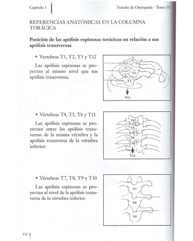 Tratado de osteopatía Tomo 3, por Francisco Fajardo Ruiz. ISBN 9788498273649