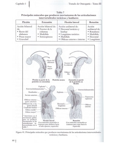 Tratado de osteopatía Tomo 3, por Francisco Fajardo Ruiz. ISBN 9788498273649