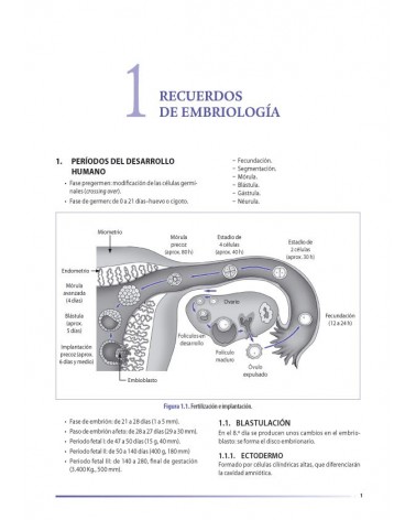 Osteopatía y pediatría, por Elena Martínez y François Ricard. ISBN:9788494321542