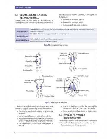 Osteopatía y pediatría