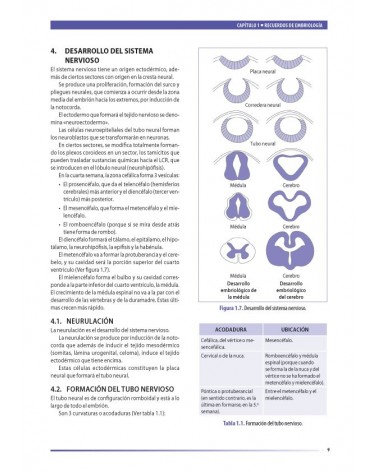 Osteopatía y pediatría