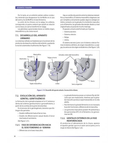 Osteopatía y pediatría, por Elena Martínez y François Ricard. ISBN:9788494321542