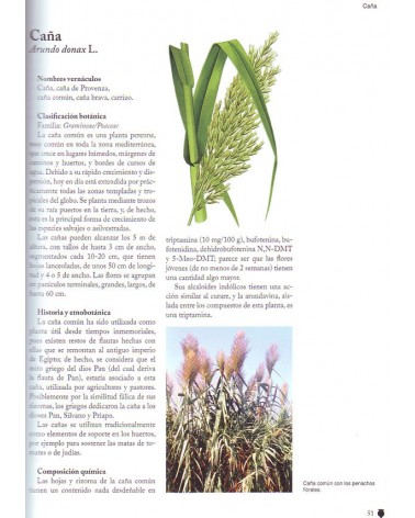 Guía de las plantas psicoactivas. Por Josep Lluis Berdonces. ISBN: 9788494419546 