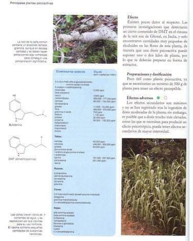 Guía de las plantas psicoactivas. Por Josep Lluis Berdonces. ISBN: 9788494419546 