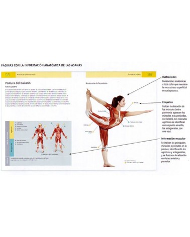 Anatomía del yoga. por Sally Parkes. ISBN: 9789089986207