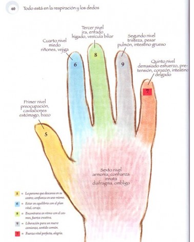 Jin Shin Jutsu. Waltraud Riegger-Krause. ISBN: 9788476287385