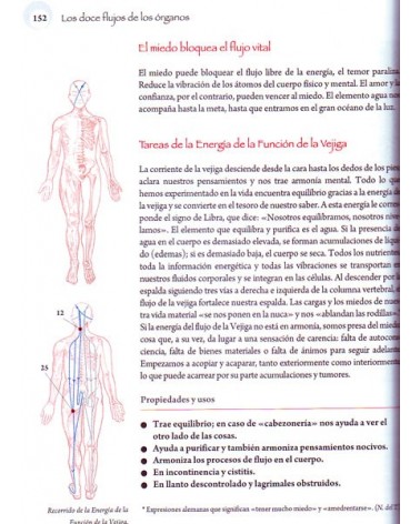 Jin Shin Jutsu. Waltraud Riegger-Krause. ISBN: 9788476287385