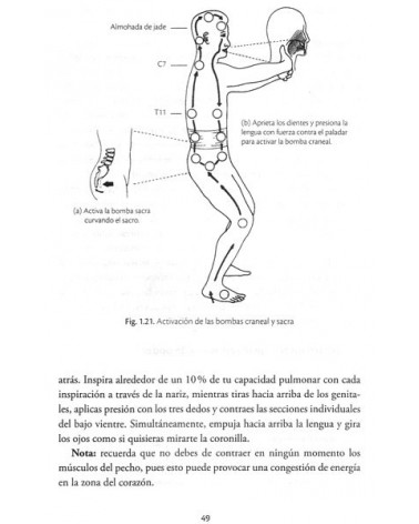 Chi kung para la salud prostática y el vigor sexual. Por Mantak Chia / William U. Wei. ISBN: 9788491110767