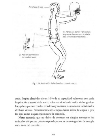 Chi kung para la salud prostática y el vigor sexual. Por Mantak Chia / William U. Wei. ISBN: 9788491110767