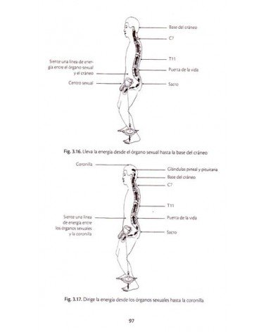 Chi kung para la salud prostática y el vigor sexual. Por Mantak Chia / William U. Wei. ISBN: 9788491110767