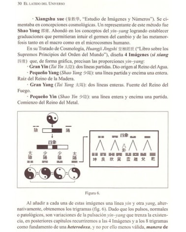 El Latido del Universo.  Por Encarnación Naverán Arriero. ISBN: 9788478134441