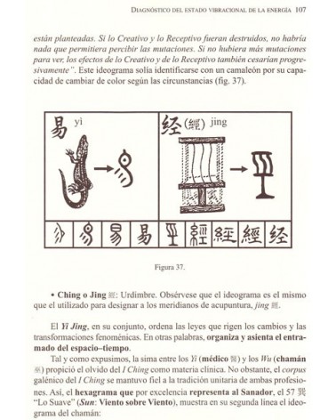 El Latido del Universo.  Por Encarnación Naverán Arriero. ISBN: 9788478134441