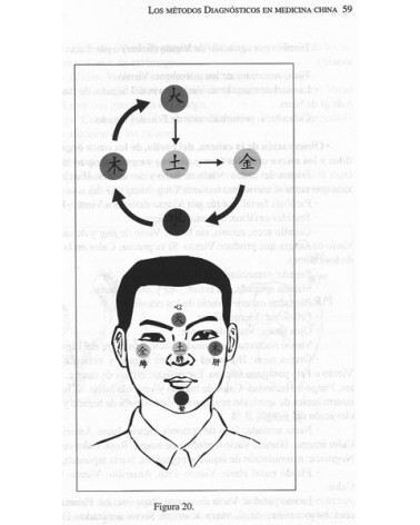 El Latido del Universo.  Por Encarnación Naverán Arriero. ISBN: 9788478134441